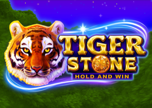 Tiger Stone