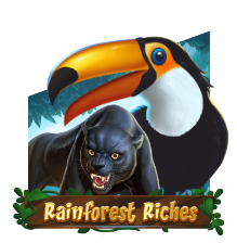 RAINFOREST RICHES
