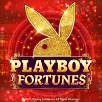 PLAYBOY FORTUNES