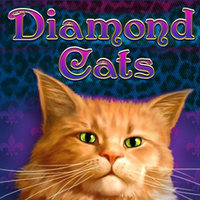 Diamond Cats