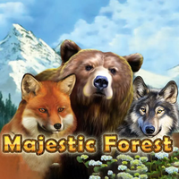 Majestic Forest