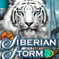 Siberian Storm