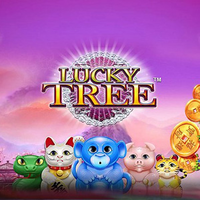 Lucky Tree