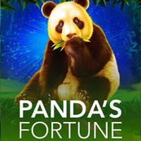 Pandas Fortune
