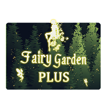 Fairy Garden