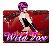 WildFox