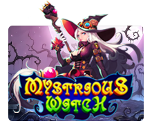 Mysterious Witch