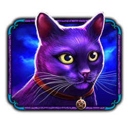 Icon 4 Madame Destiny