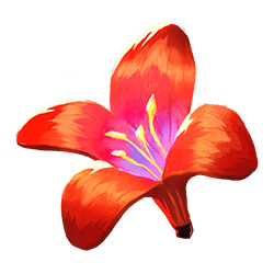 Icon 8 Wings of Riches