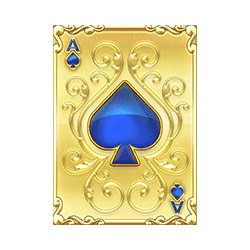 Icon 7 Harlequin Carnival