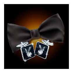 Icon 6 Playboy Fortunes