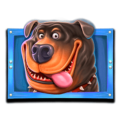 Icon 1 The Dog House Megaways