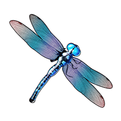 Icon 3 Big Bass Bonanza