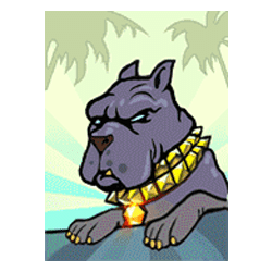 Icon 5 East Coast vs West Coast