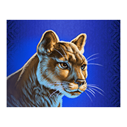 Icon 2 Buffalo Blitz II