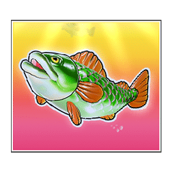 Icon 8 Bigger Bass Bonanza