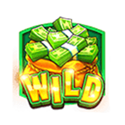 Wild Symbol of Cash Bonanza Slot