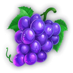 Icon 6 Blender Blitz