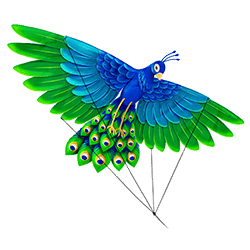 Icon 2 Floating Dragon Megaways