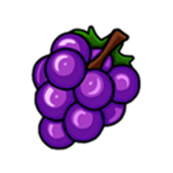 Icon 6 Wilds of Fortune