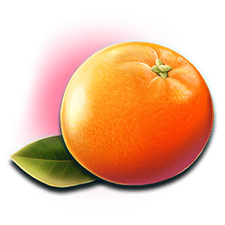 Icon 8 Club Tropicana