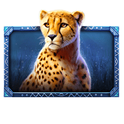 Icon 5 African Elephant