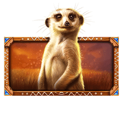 Icon 6 African Elephant