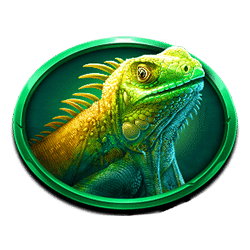 Icon 6 Mustang Trail