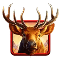 Icon 1 Elk Hunter