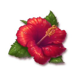 Icon 6 Bikini Island Deluxe