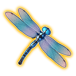 Icon 4 Big Bass Floats My Boat