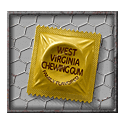 Icon 7 Land of the Free