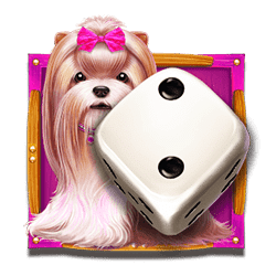 Icon 3 The Dog House Dice Show