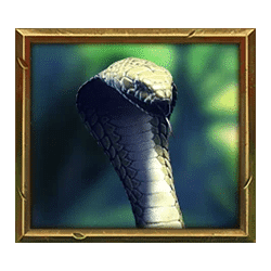 Icon 5 Jungle Spirit Megaways