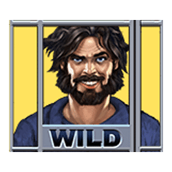 Wild Symbol of Stockholm Syndrome Slot