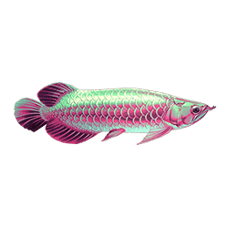 Icon 1 Arowanas Luck