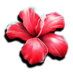 Icon 3 Club Tropicana Happy Hour