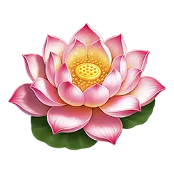 Icon 2 Dragon Tiger Fortunes